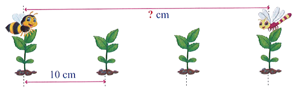 Khoảng cách giữa các cây bằng nhau (như hình dưới đây). Vậy khoảng cách từ bạn ong đến bạn chuồn chuồn là:   (ảnh 1)