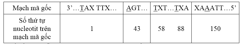 bài tập trắc nghiệm cơ chế di truyền cấp độ phân từ thông hiểu 23