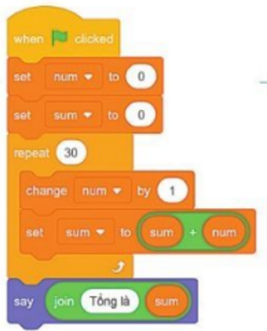 Trong chương trình sau, biến sum dùng để làm gì? (ảnh 1)