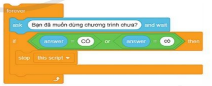 Trong chương trình sau, khối lệnh stop this script sẽ được thực thi khi nào? (ảnh 1)