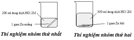 Thí nghiệm nghiên cứu tốc độ phản ứng giữa kẽm (zinc) với dung dịch hydrochloric acid  (ảnh 1)