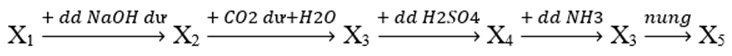 Cho sơ đồ phản ứng sau:   Biết X1, X2, X3, X4, X5 là các hợp chất khác nhau của nguyên tố nhôm. Trong các chất Al, Al2O3, Al(OH)3, AlCl3 và Al2(SO4)3, số chất thỏa mãn X1 là         A. 5.	B. 4.	C. 3.	D. 2. (ảnh 1)