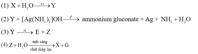  Cho sơ đồ phản ứng sau:(1) (2) Y +  ammonium gluconate + Ag + \(N{H_3} + {H_2}O\)(3) Y  E + ZCác chất X, Y, Z lần lượt là (ảnh 1)