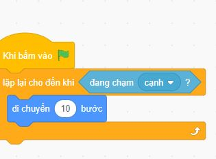 (M1) Chuyện gì sẽ xảy ra khi mèo chạm vào cạnh sân khấu? (ảnh 1)