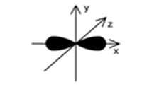 Hình dưới đây biểu diễn hình dạng của một orbital. Tên gọi của orbital này là (ảnh 1)