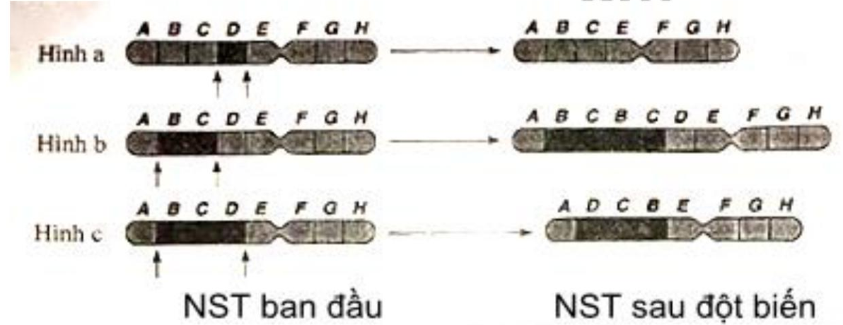 Media VietJack