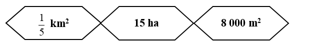 Sắp xếp các số sau theo thứ tự từ bé đến lớn: (ảnh 1)
