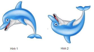 Đề kiểm tra Tin học lớp 5 Học kì 1 có đáp án (Đề 4) | Đề thi Tin học 5 có đáp án