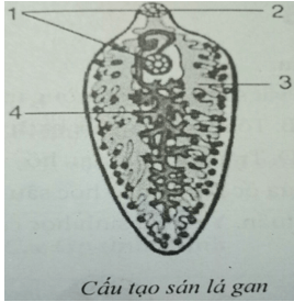 Đề kiểm tra Sinh học 7 có đáp án