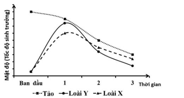 Ở 1 hệ sinh thái có 2 loài sên biển X và Y là động vật ăn tảo. Một thí nghiệm được tiến hành để tìm hiểu tác động của mật độ sên biển lên khả năng sinh trưởng của chúng và mật độ của tảo. Số liệu được trình bày như hình bên. (ảnh 1)