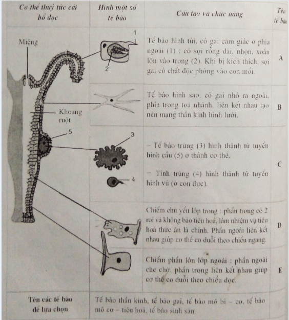 Đề kiểm tra Sinh học 7 có đáp án