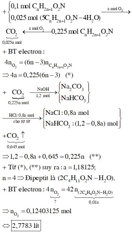 Ôn luyện hóa hữu cơ 12 cực hay có lời giải (Đề số 10)