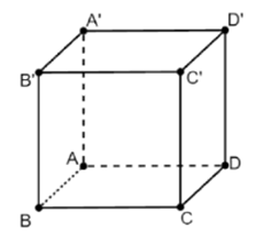 Cho hình lập phương ABCD.A'B'C'D'. Vectơ có điểm đầu và điểm cuối là các đỉnh của hình lập phương ABCD.A'B'C'D' và bằng vectơ \(\overrightarrow {AD} \) là
 (ảnh 1)