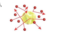 Năm 1827, khi quan sát các hạt phấn hoa (ảnh 1)
