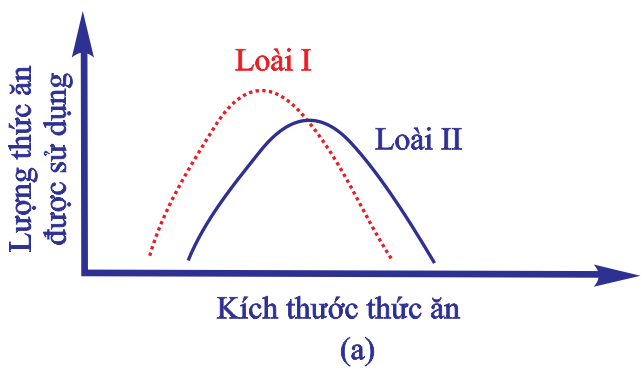 Nhận định sau đây về hình này là Đúng? (ảnh 1)