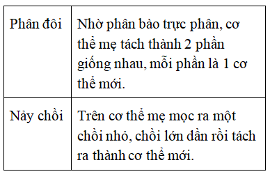 Ôn tập Sinh học 10 có lời giải chi tiết (P4)