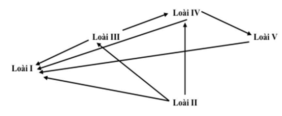 Sơ đồ dưới đây thể hiện lưới thức ăn giả định. Các mũi tên thể hiện sự truyền năng lượng qua các bậc dinh dưỡng khác nhau.  Những loài nào vừa là sinh vật tiêu thụ bậc  (ảnh 1)