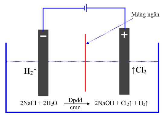 Bài tập Nguyên tố nhóm VIIA (Nhóm Halogen) có đáp án