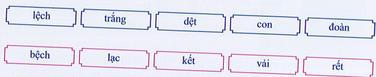 Nối.  (ảnh 1)