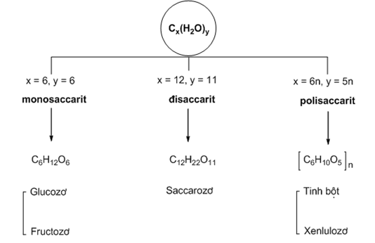 Lý thuyết Cacbohidrat có lời giải chi tiết (P5)