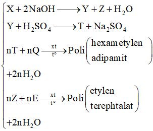 Sơ đồ chuyển hóa