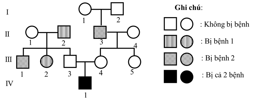 Ở người, có 2 bệnh đều do gen lặn nằm trên vùng không tương đồng của NST giới tính X gây nên (ảnh 1)