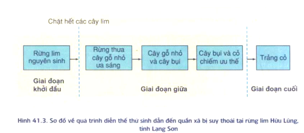 Đề kiểm tra học kì 2 Chuyên đề Sinh 12 có đáp án (Đề 2)
