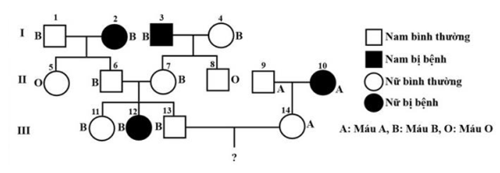 Sơ đồ phả hệ sau mô tả sự di truyền nhóm máu hệ ABO và một bệnh M ở người do 2 lôcut thuộc 2 cặp NST khác nhau quy định. Biết bệnh M trong phả hệ là do một trong 2 alen có quan hệ trội lặn hoàn toàn của một gen quy định; quần thể này đang ở trạng thái cân bằng di truyền về tính trạng nhóm máu trong đó 4% số người có nhóm máu O và 21% số người có nhóm máu B;   Theo lý thuyết, có bao nhiêu phát biểu sau đây đúng? I. Có 5 người chưa xác định được kiểu gen về bệnh M. II. Tối đa 11 người có kiểu gen đồng hợp về nhóm máu. III. Xác suất để người III.14 có kiểu gen dị hợp về nhóm máu là 4/11. IV. Khả năng cặp vợ chồng III.13 và III.14 sinh một đứa con có kiểu gen dị hợp về cả hai tính trạng là 21/44. 	A. 3. 	B. 1. 	C. 4. 	D. 2. (ảnh 1)