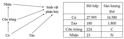 Hình dưới đây thể hiện lưới thức ăn và mức năng lượng (kcal/m2/năm) (ảnh 1)