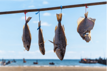 Trong hình ảnh dưới đây, cá có thể khô được là nhờ loại năng lượng nào? (ảnh 1)