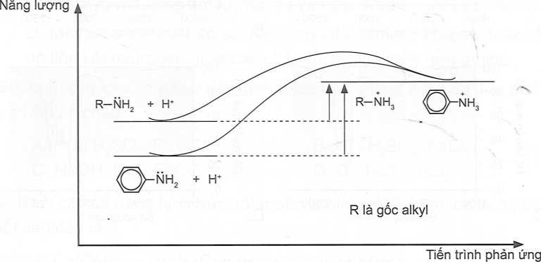 Dựa vào giản đồ, hãy so sánh tính base của alkylamine và arylamine (ảnh 1)