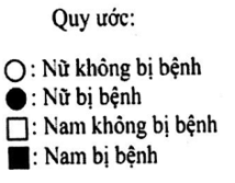 Bài tập Di truyền học Người cực hay có lời giải chi tiết (P2)