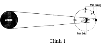 Đề kiểm tra Học kì 1 Vật Lí lớp 7 có đáp án, cực hay (Đề 4) | Đề kiểm tra Vật Lí 7