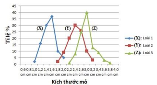 Xét 3 loài chim ăn hạt sống trong cùng 1 khu vực. Ổ sinh thái dinh dưỡng được thể hiện thông qua tỷ lệ phần trăm các loại kích thước mỏ của ba loài trên được biểu hiện ở đồ thị sau:   Dựa vào đồ thị, có bao nhiêu dự đoán sau đây về 3 loài chim trên là đúng? I. Loài 1 và loài 3 trong khu vực này gần như không cạnh tranh nhau về thức ăn. II. Số lượng cá thể loài 2 khống chế số lượng cá thể loài 3 và ngược lại. III. Loài 1 và loài 2 có hiện tượng cạnh tranh gay gắt nguồn thức ăn với nhau. IV. Các loài chim trong khu vực này có xu hướng mở rộng ổ sinh thái để tìm được nhiều thức ăn hơn. 	A. 3. 	B. 2. 	C. 4. 	D. 1. (ảnh 1)