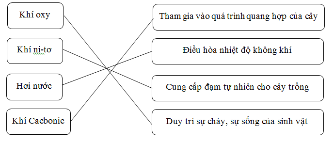 Tự luận Địa lý 6 Bài 14 có đáp án (Phần 2)