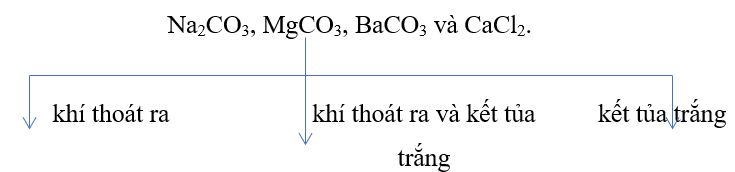Bộ đề kiểm tra định kì học kì 1 Hóa 9 có đáp án (Mới nhất) - Đề 8