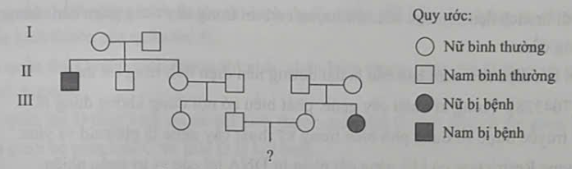 Xác suất người con đầu lòng của cặp vợ chồng ở thế hệ thứ III bị bệnh là bao nhiêu? (ảnh 1)