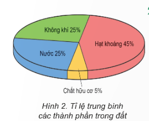Bộ đề thi giữa kì 2 Địa lí 6 cấu trúc mới có đáp án - Đề 2