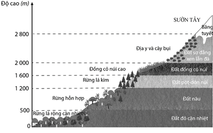 Bộ đề thi cuối kì 1 Địa lý 10 cấu trúc mới có đáp án - Đề 1