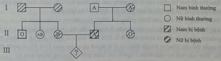 Xác suất để cặp vợ chồng ở thế hệ thứ II trong gia đình sinh người con có nhóm máu O và không bị bệnh trên là (ảnh 1)