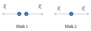 Với cùng cường độ, cách biểu diễn hai lực cân bằng nào sau đây đúng? A.  Hình 1 B.  Hình 2 (ảnh 1)