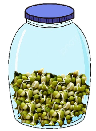 Theo lý thuyết, dự đoán sau đây đúng về kết quả thí nghiệm? (ảnh 1)