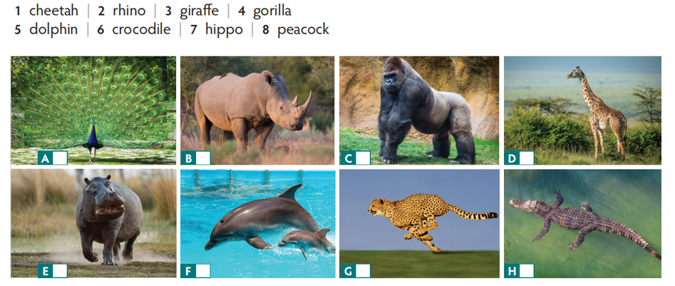 Match the words in the list with the photos. Write 1-8 in the boxes. (Nối những  (ảnh 1)