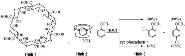 Trong các phát biểu sau, phát biểu nào sai ? (ảnh 1)