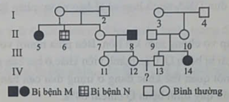 Xác suất sinh con đầu lòng bị cả hai bệnh của cặp vợ chồng III.12 – III.13 trong phả hệ này là: (ảnh 1)