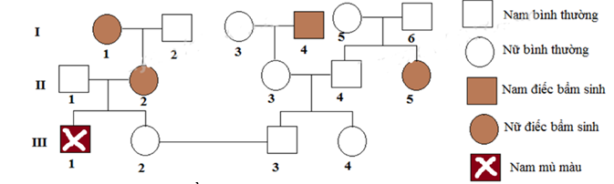 Có bao nhiêu phát biểu đúng về đặc điểm di truyền của bệnh được theo dõi trong phả hệ sau đây?  I. Cả hai tính trạng (bệnh) trên đều do gen lặn trên NST thường quy định.  II. Có thể có tối đa 10 người có kiểu gen dị hợp về bệnh điếc bẩm sinh. (ảnh 1)