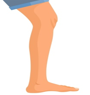 Listen and choose. (ảnh 4)