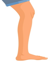 Look, listen, and choose.
 (ảnh 1)