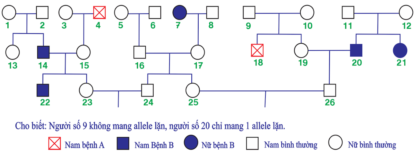 Đề minh họa tốt nghiệp THPT môn Sinh có đáp án năm 2025 ( Đề 34)