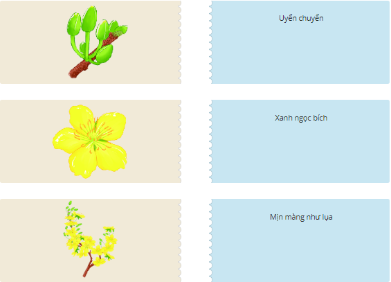 Trắc nghiệm Hoa mai vàng có đáp án